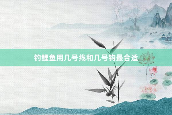钓鲤鱼用几号线和几号钩最合适